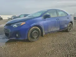 2T1BURHE8GC710524 2016 TOYOTA COROLLA