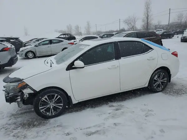 2T1BURHE8KC245204 2019 TOYOTA COROLLA - Image 1