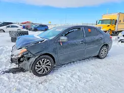 2T1BURHEXHC850169 2017 TOYOTA COROLLA