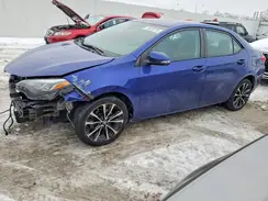 2T1BURHEXHC947906 2017 TOYOTA COROLLA