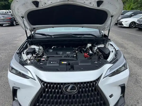 2T2ADCAZ0NC001827 2022 LEXUS NX - Image 8