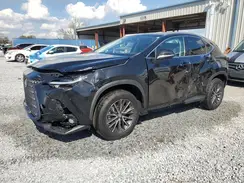 2T2ADCAZ0PC004097 2023 LEXUS NX