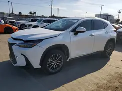 2T2ADCAZ0RC007200 2024 LEXUS NX