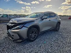 2T2ADCAZ0RC007388 2024 LEXUS NX