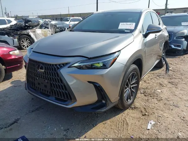 2T2ADCAZ0RC012574 2024 LEXUS NX - Image 2
