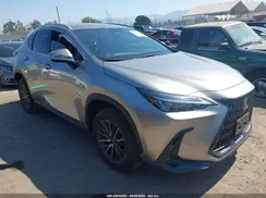 2T2ADCAZ1PC003217 2023 LEXUS NX