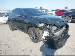 2T2ADCAZ1PC004609 2023 LEXUS NX