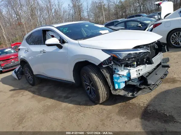 2T2ADCAZ1RC006170 2024 LEXUS NX - Image 1