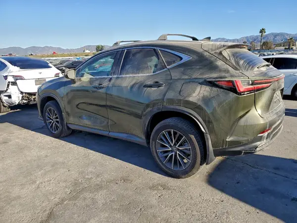 2T2ADCAZ1RC012020 2024 LEXUS NX - Image 2