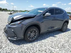 2T2ADCAZ2PC003176 2023 LEXUS NX