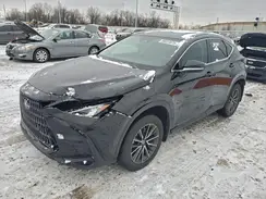 2T2ADCAZ2SC022979 2025 LEXUS NX