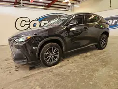 2T2ADCAZ3NC001532 2022 LEXUS NX