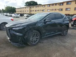 2T2ADCAZ4SC024183 2025 LEXUS NX