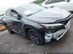2T2ADCAZ5RC006589 2024 LEXUS NX