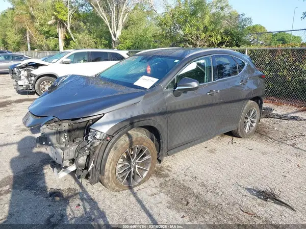 2T2ADCAZ5RC008374 2024 LEXUS NX - Image 2