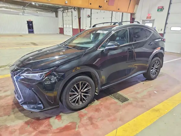 2T2ADCAZ5RC009847 2024 LEXUS NX - Image 1