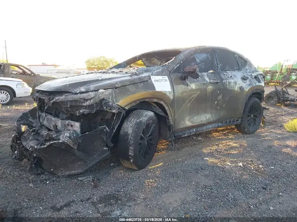2T2ADCAZ5RC012330 2024 LEXUS NX - Image 2