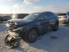2T2ADCAZ5SC023012 2025 LEXUS NX