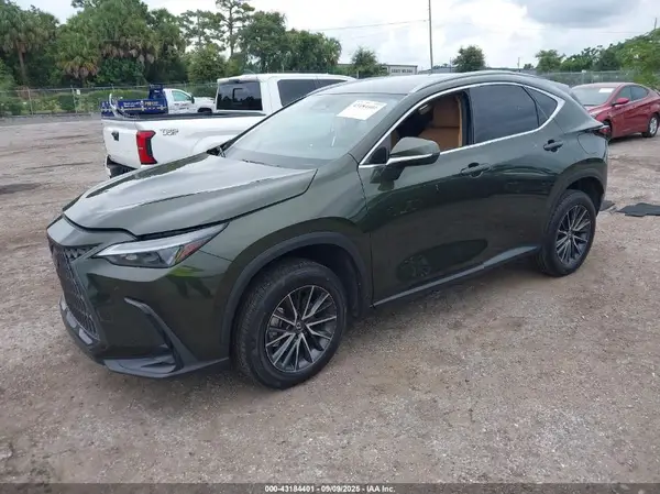 2T2ADCAZ6RC008738 2024 LEXUS NX - Image 2