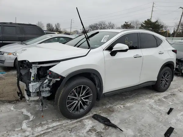 2T2ADCAZ6RC010487 2024 LEXUS NX - Image 1