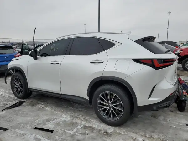 2T2ADCAZ6RC010487 2024 LEXUS NX - Image 2