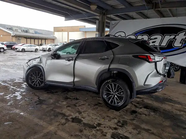 2T2ADCAZ7RC008375 2024 LEXUS NX - Image 2