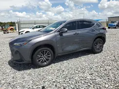 2T2ADCAZ7RC009106 2024 LEXUS NX
