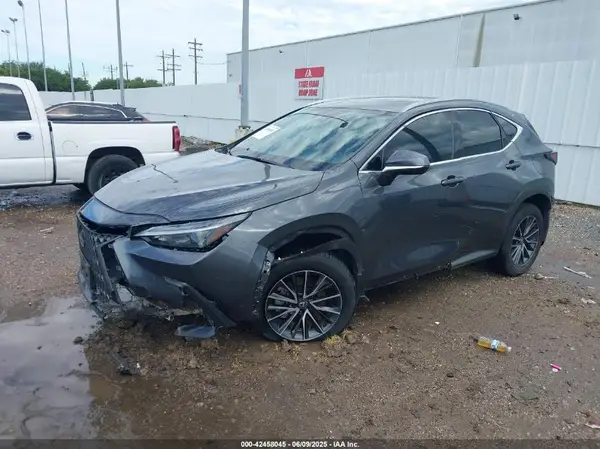 2T2ADCAZ7RC009302 2024 LEXUS NX - Image 2