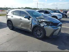 2T2ADCAZ7RC014421 2024 LEXUS NX