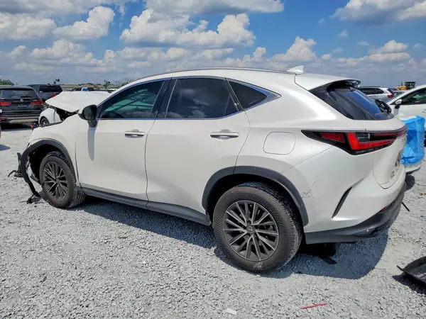 2T2ADCAZ7SC018913 2025 LEXUS NX - Image 2