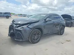 2T2ADCAZ8PC003702 2023 LEXUS NX