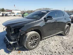2T2ADCAZ8PC004431 2023 LEXUS NX