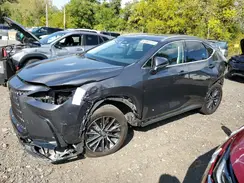 2T2ADCAZ8RC007929 2024 LEXUS NX