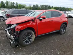 2T2ADCAZ9RC012220 2024 LEXUS NX