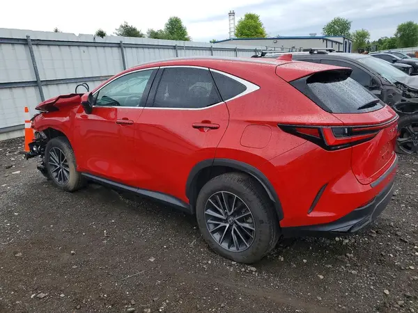 2T2ADCAZ9RC012220 2024 LEXUS NX - Image 2