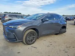 2T2ADCAZXRC009049 2024 LEXUS NX