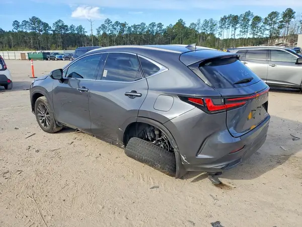 2T2ADCAZXRC009049 2024 LEXUS NX - Image 2