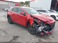 2T2ADCAZXRC010038 2024 LEXUS NX