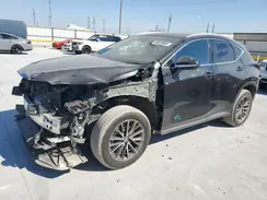2T2ADCAZXRC011349 2024 LEXUS NX