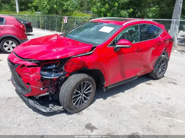 2T2ADCAZXRC014980 2024 LEXUS NX - Image 2