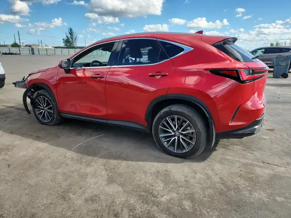 2T2ADCAZXSC030554 2025 LEXUS NX - Image 2