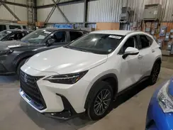 2T2ADCEZ0PC003557 2023 LEXUS NX