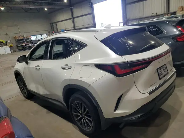 2T2ADCEZ0PC003557 2023 LEXUS NX - Image 2