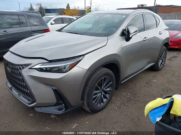 2T2ADCEZ0SC006161 2025 LEXUS NX - Image 2