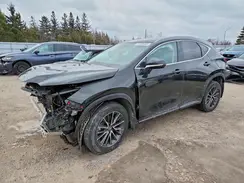 2T2ADCEZ1SC005326 2025 LEXUS NX