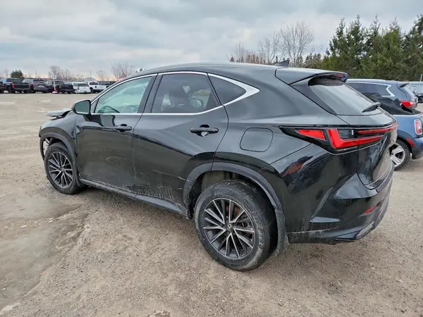 2T2ADCEZ1SC005326 2025 LEXUS NX - Image 2