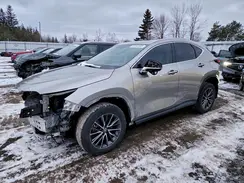 2T2ADCEZ2NC002584 2022 LEXUS NX
