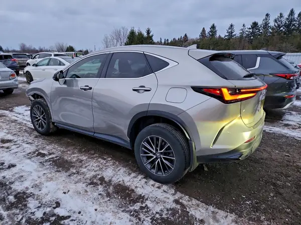 2T2ADCEZ2NC002584 2022 LEXUS NX - Image 2