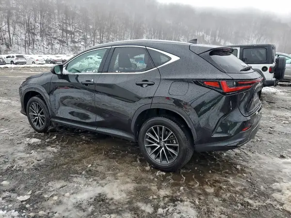 2T2ADCEZ2PC002992 2023 LEXUS NX - Image 2