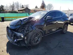 2T2ADCEZ2RC004633 2024 LEXUS NX